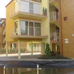 Jano シオーフォク